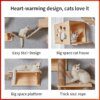 Cadre d'escalade mural en bois massif pour chat, arbre a chat mural 2023