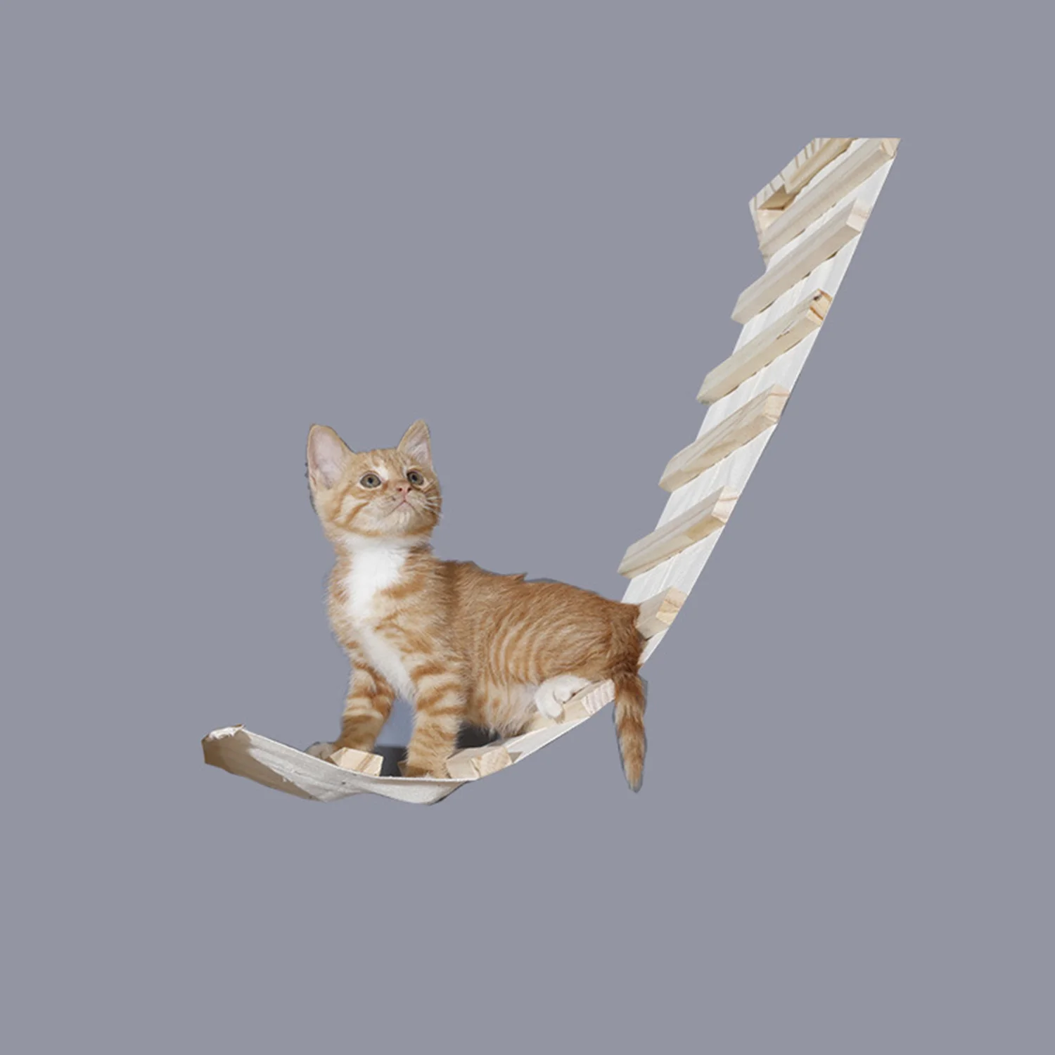 ladder
