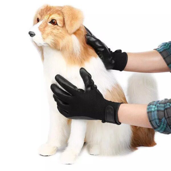 Gants de Toilettage 2-Mains pour Chien & Chat – Massage Anti-Stress