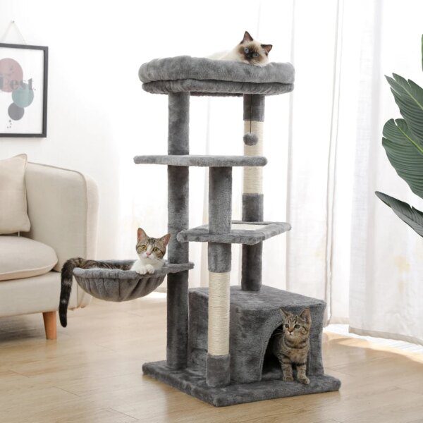 Arbre à Chat et Chaton pour la Maison, Jeu pour Votre Animal Domestique
