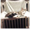 Hamac Radiateur pour Chat – Lit Suspendu Amovible avec Coussin