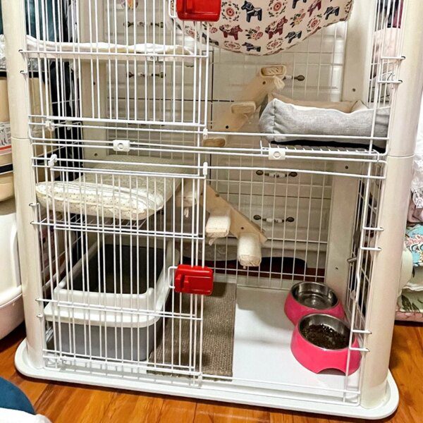 Echelle en Sisal pour chat, cadre d'escalade antidérapant