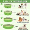 60038-6f837c.jpg Piscine Pliable pour Chien & Chat – Baignade