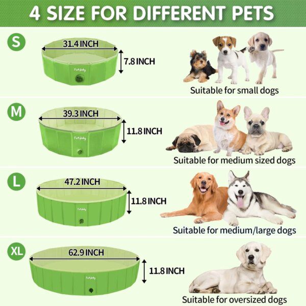 60038-6f837c.jpg Piscine Pliable pour Chien & Chat – Baignade