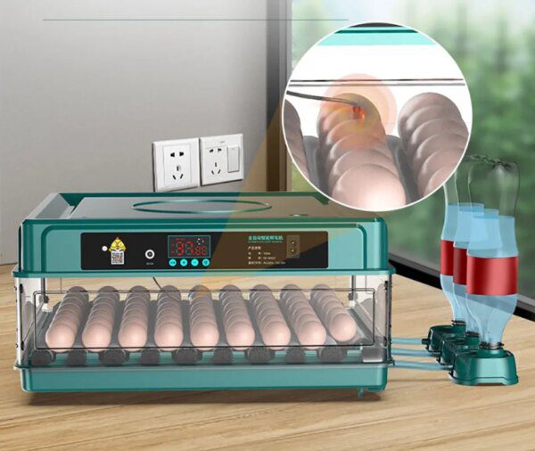 incubateur oeuf - Entièrement Automatique 220/110V 6/12  🥚🐣