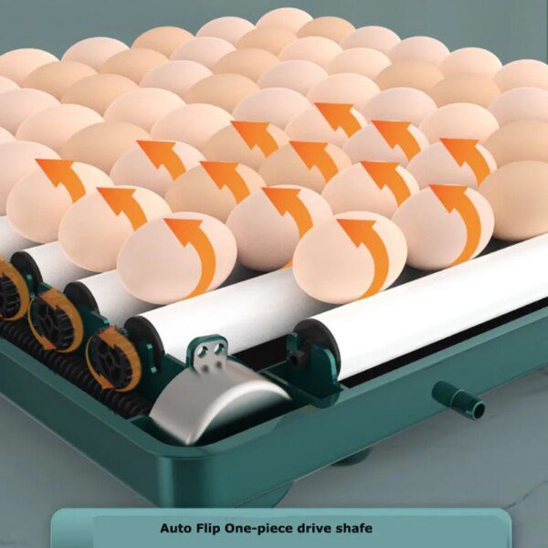 incubateur oeuf - Entièrement Automatique 220/110V 6/12  🥚🐣