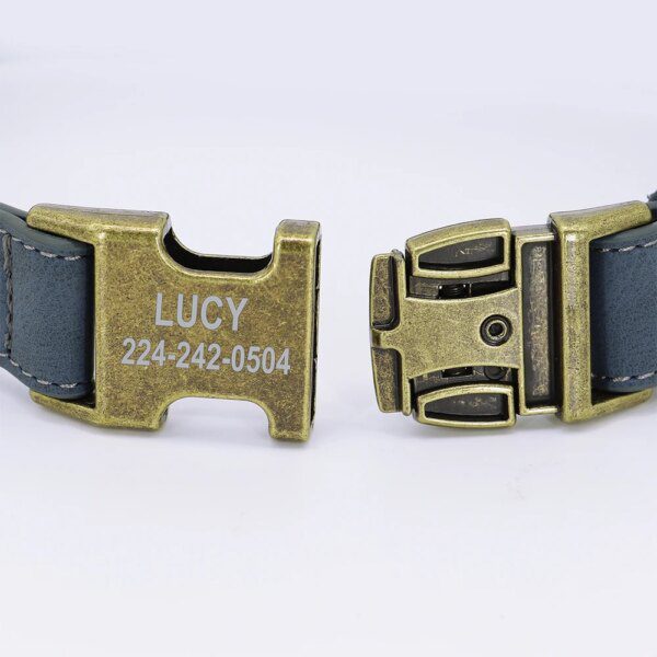 Collier d’Identification Personnalisé pour Chien – Élégance Quotidienne, Sécurité