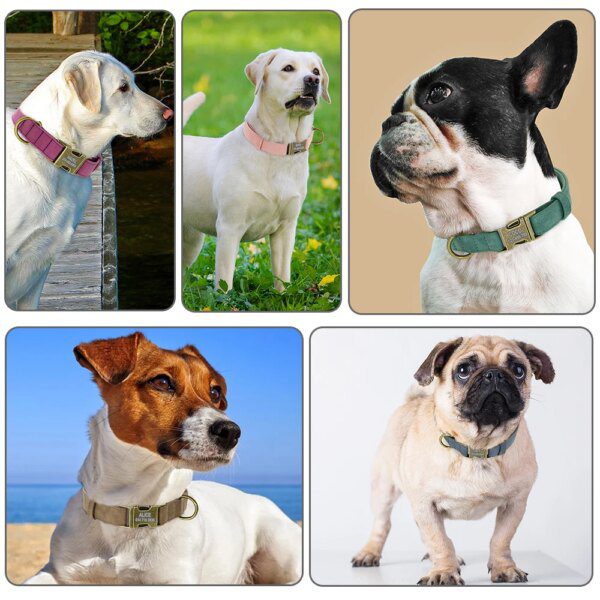 Collier d’Identification Personnalisé pour Chien – Élégance Quotidienne, Sécurité