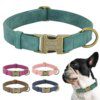 Collier d’Identification Personnalisé pour Chien – Élégance Quotidienne, Sécurité