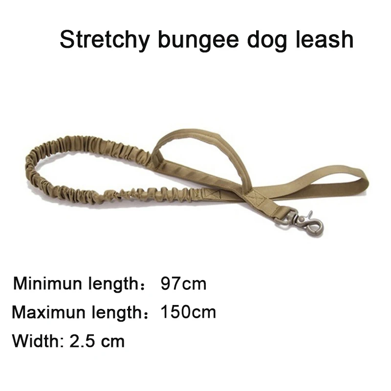 Khaki Leash