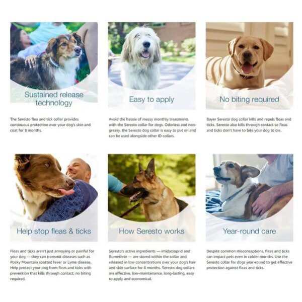 Collier Seresto® Anti-Puces & Anti-Tiques – 8 Mois de Protection