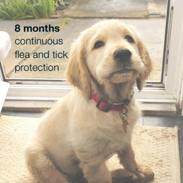 Collier Seresto® Anti-Puces & Anti-Tiques – 8 Mois de Protection