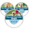 60884-1deee6.jpg Collier Anti-Tique en Caoutchouc pour Chien et Chat