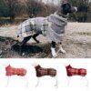 Manteau polaire chaud pour chien 🧥 chaleur enveloppante