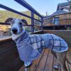 Manteau polaire chaud pour chien 🧥 chaleur enveloppante