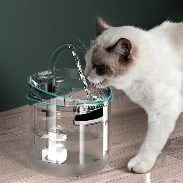 Fontaine à eau pour chat, 1 à 5 pièces, éléments filtrants de remplacement activés pour chat