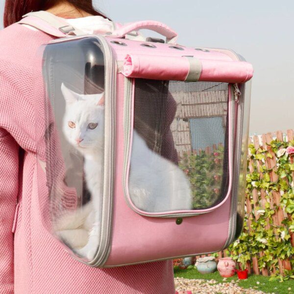 Sac Transport pour chat chat Maine Coon