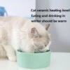 Bol thermostatique pour chiens en hiver, bassin d'eau chaude