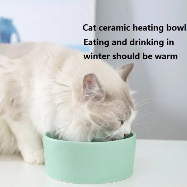 Bol thermostatique pour chiens en hiver, bassin d'eau chaude