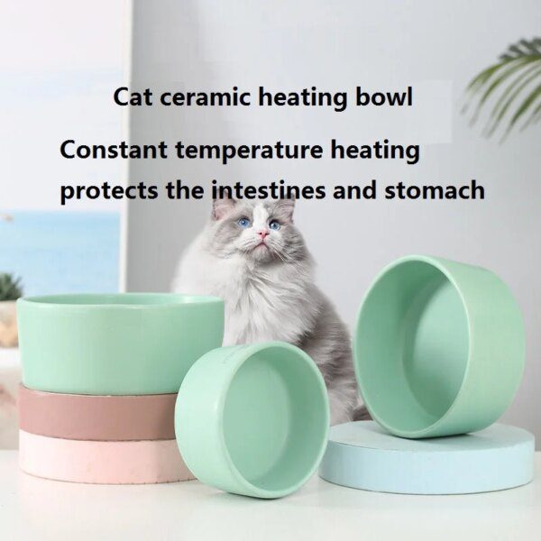 Bol thermostatique pour chiens en hiver, bassin d'eau chaude