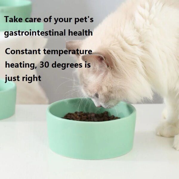 Bol thermostatique pour chiens en hiver, bassin d'eau chaude