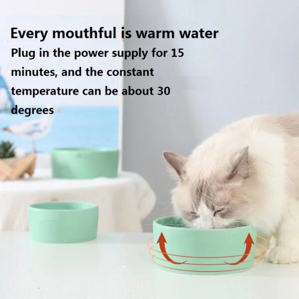 Bol thermostatique pour chiens en hiver, bassin d'eau chaude