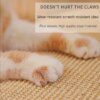 Grattoirs pour chats, grattoir pour chats, tapis en Sisal