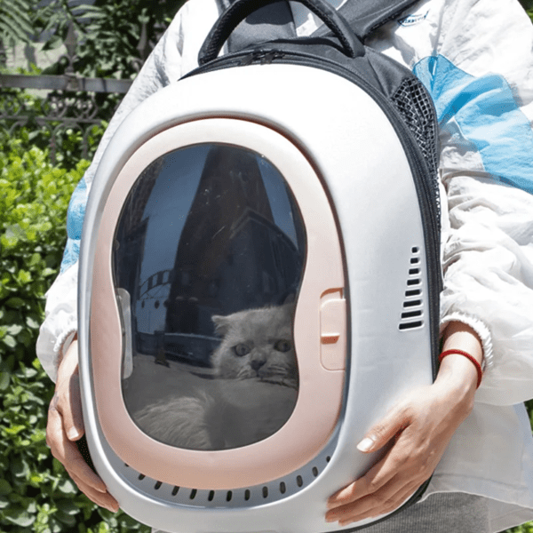 Sac à dos de voyage pour chat, grande capacité, respirant, Portable