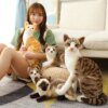 peluche chat  siamois réaliste en peluche, Jouet Simulant un Chat Américain à Poil Court