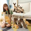 peluche chat  siamois réaliste en peluche, Jouet Simulant un Chat Américain à Poil Court