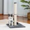 Poteau à gratter pour chat avec nid de perchoir souple, tour d'arbre à chat