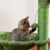 arbre a chat Hamac avec corde en Sisal pour chats, Cactus, grattoir
