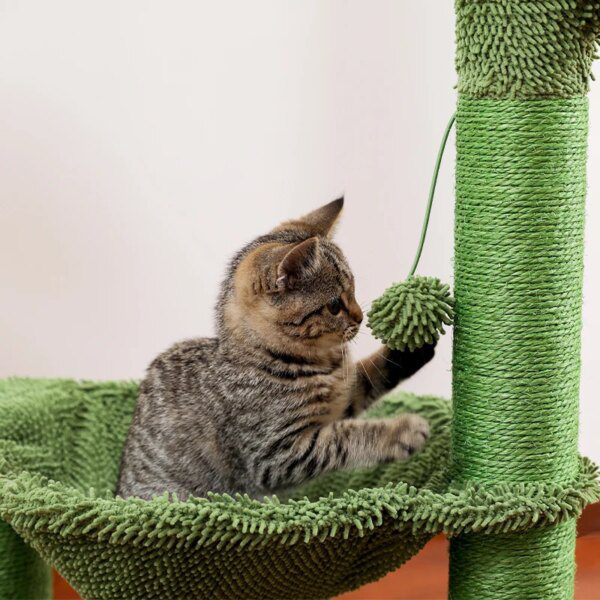 arbre a chat Hamac avec corde en Sisal pour chats, Cactus, grattoir