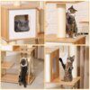 Arbre à chat pour animaux domestiques, poste à gratter en bois avec jouets