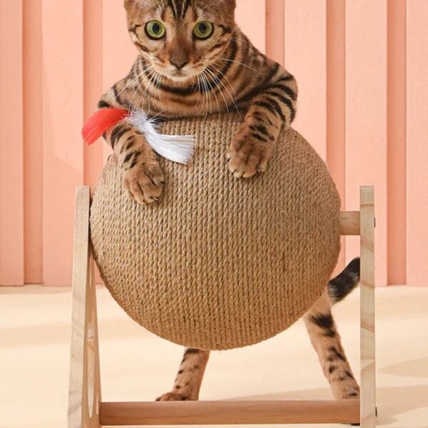 FeatherWheel Cocoon™ – Le griffoir escalade avec roue à plumes