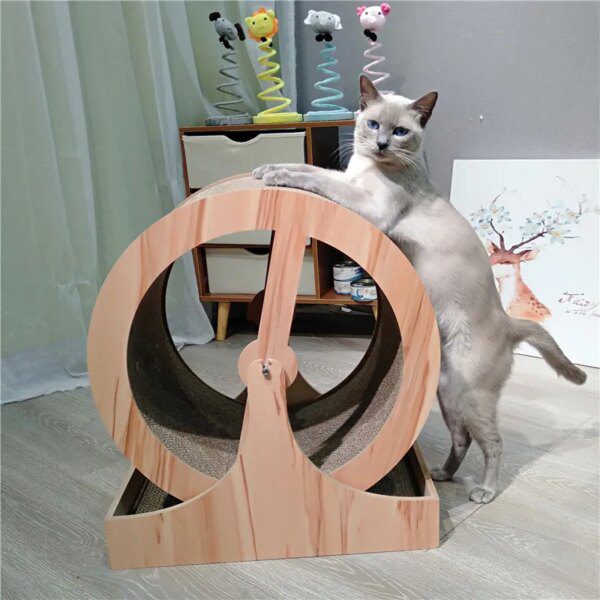 Roue d’Exercice & Parc de Jeux pour Chat – Tunnel, Grattoir et Jouets Interactifs