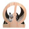 Roue d’Exercice & Parc de Jeux pour Chat – Tunnel, Grattoir et Jouets Interactifs