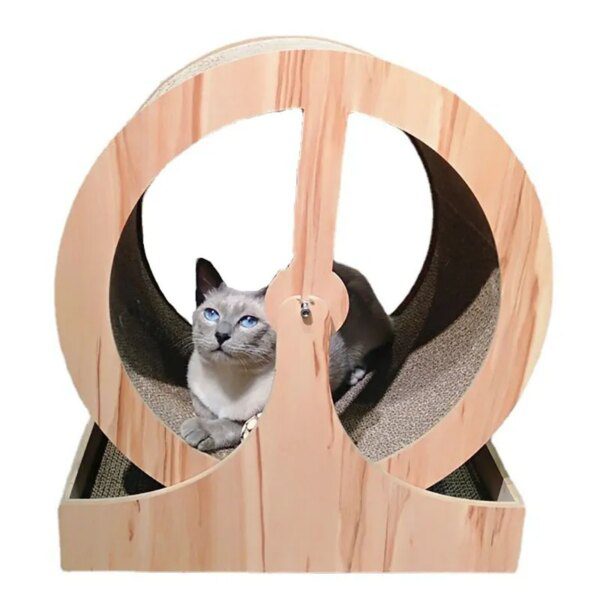 Roue d’Exercice & Parc de Jeux pour Chat – Tunnel, Grattoir et Jouets Interactifs