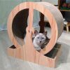 Roue d’Exercice & Parc de Jeux pour Chat – Tunnel, Grattoir et Jouets Interactifs