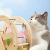 Roue pour Chat avec Planche à Gratter – Jouet Interactif Grande