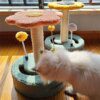 arbre a chat Petit , meuble d'escalade, jouets en Sisal pour chaton