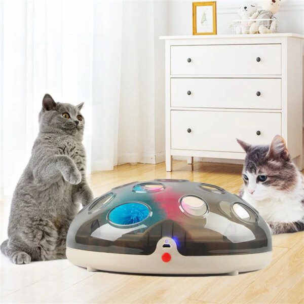 Plateau Tournant Électrique Interactif Maglev pour Chat – Chasse