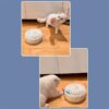 jouet pour chat rotatif automatique pour chat, boule en plastique colorée en forme d'animal