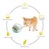 Jouet Interactif Autonome pour Chat – Gobelet Rond de Luxe
