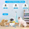 Jouet interactif 4-en-1 pour chat – Laser, plumes, balle