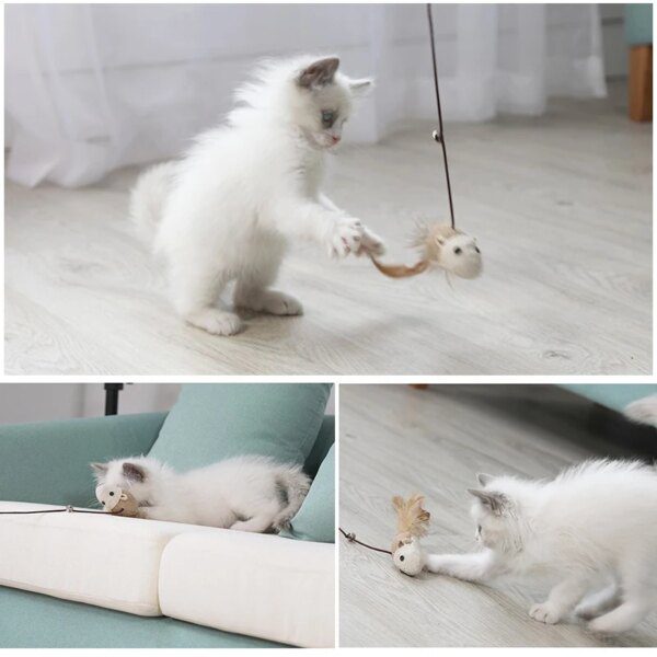 Bâton teaser en corde naturelle – Simulation souris