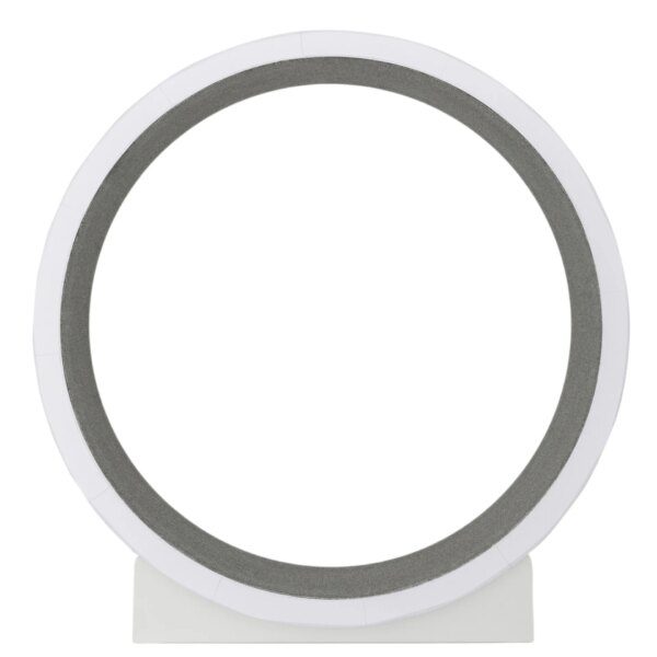 Roue de Course pour Chat – Tapis de Fitness