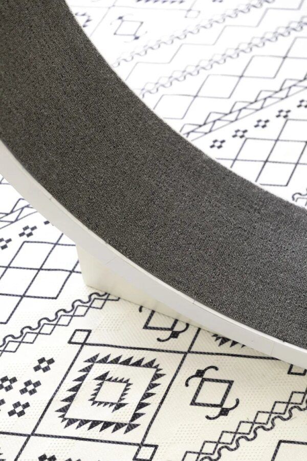 Roue de Course pour Chat – Tapis de Fitness