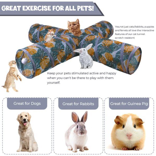 67144-a04ed8.jpg Tunnel Labyrinthe Pliable pour Chat – 2, 3 ou 4 Voies