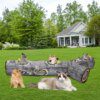 Grand Tunnel Pliable pour Chat – Motif Arbre, Jeu Long